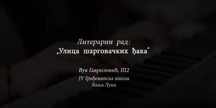 sargovac