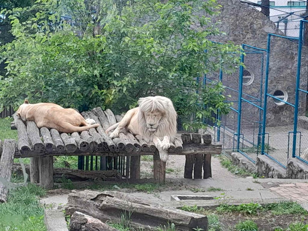 zoo vrt beograd