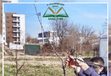 резидба воћака