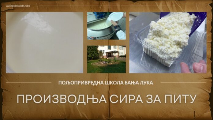 Производња сира за питу sir za pitu